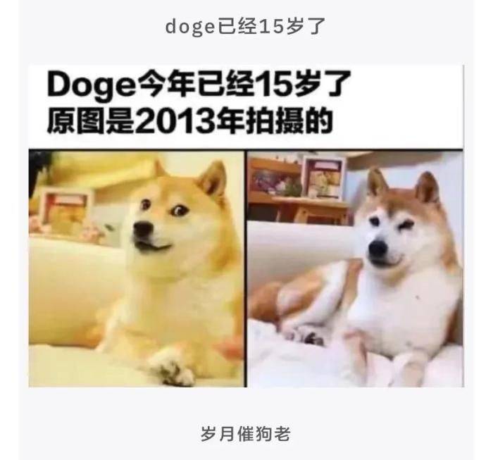 轻松一刻：Doge今年已经15岁了<strong></p>
<p>doge是什么币种</strong>，时间过得真快