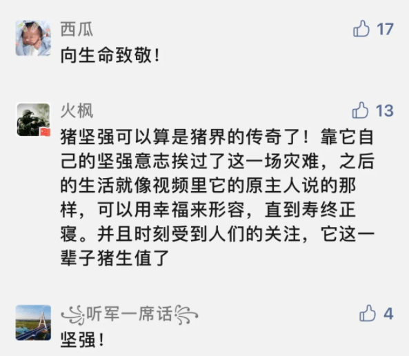 “猪坚强”是一个什么符号<strong></p>
<p>符号交易</strong>？