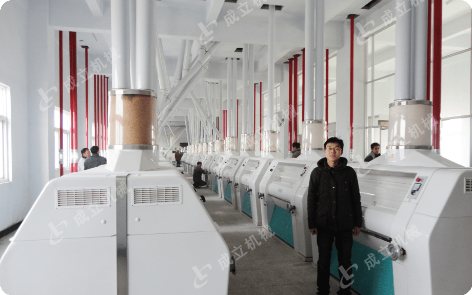面粉加工成套设备价格和什么有关<strong></p>
<p>面粉价格</strong>？五组面粉机械成套设备质量好吗