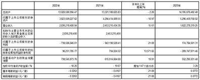 洲际油气股份有限公司2022年度报告摘要