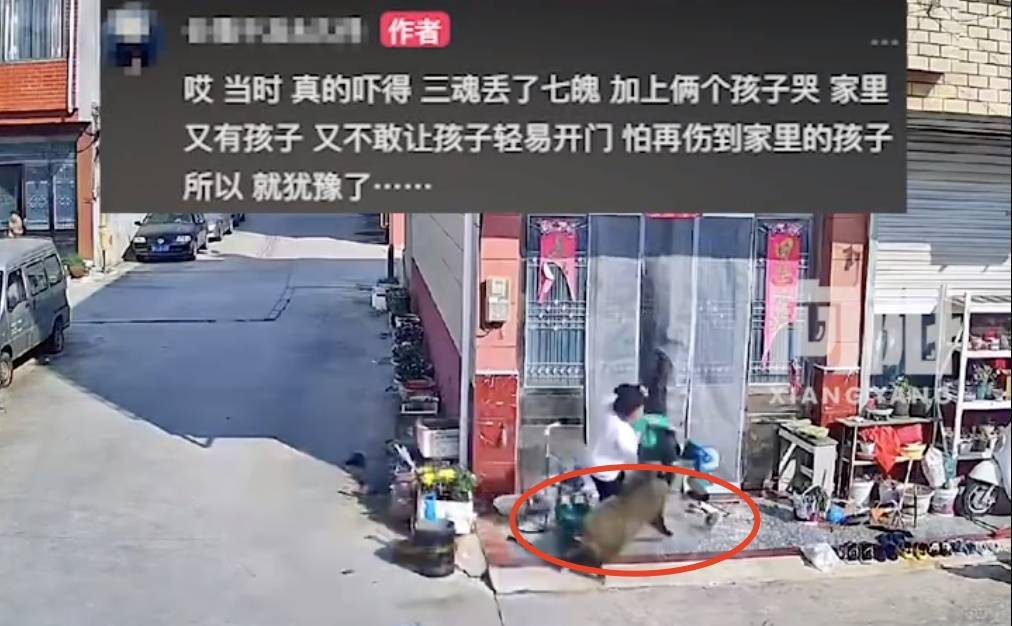 不是上海<strong></p>
<p>炒币工具</strong>！不是上海！不是上海！最新：已被特警击毙