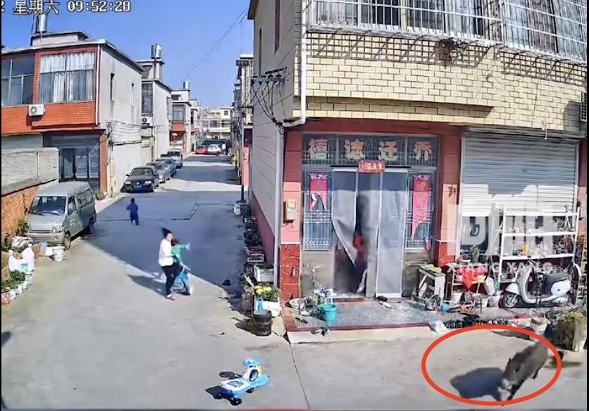 不是上海<strong></p>
<p>炒币工具</strong>！不是上海！不是上海！最新：已被特警击毙