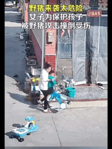不是上海<strong></p>
<p>炒币工具</strong>！不是上海！不是上海！最新：已被特警击毙