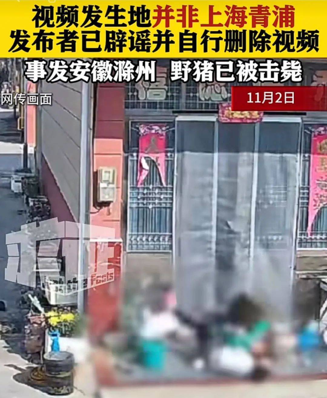 不是上海<strong></p>
<p>炒币工具</strong>！不是上海！不是上海！最新：已被特警击毙