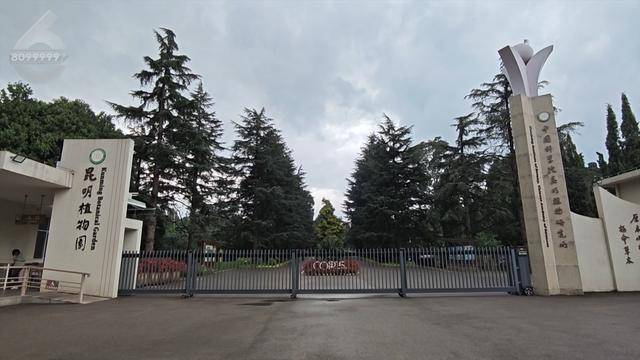 “可以蒸蛋”！昆明一女子家中搓衣板上长菌<strong></p>
<p>华夏评级币</strong>，品种竟是……