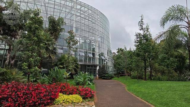 “可以蒸蛋”！昆明一女子家中搓衣板上长菌<strong></p>
<p>华夏评级币</strong>，品种竟是……