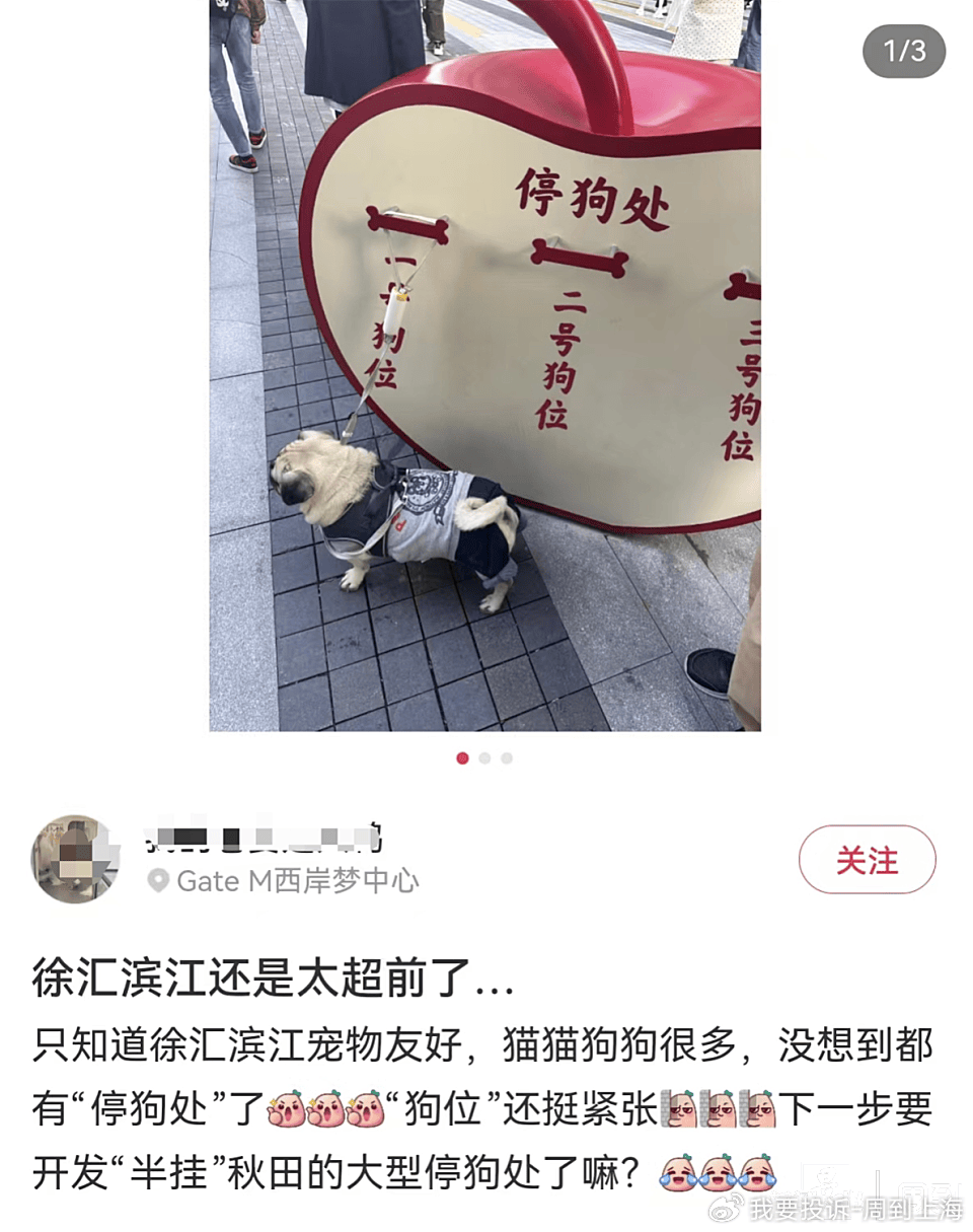 上海现“停狗处”太超前？记者实探：不止一处<strong></p>
<p>华夏评级币</strong>，有人点赞有人忧