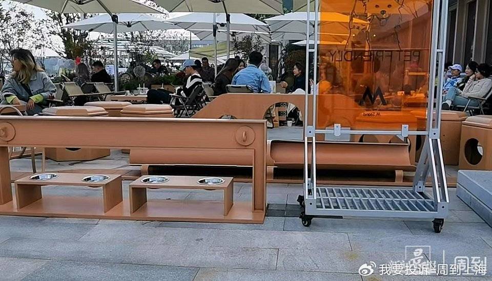 上海现“停狗处”太超前？记者实探：不止一处<strong></p>
<p>华夏评级币</strong>，有人点赞有人忧