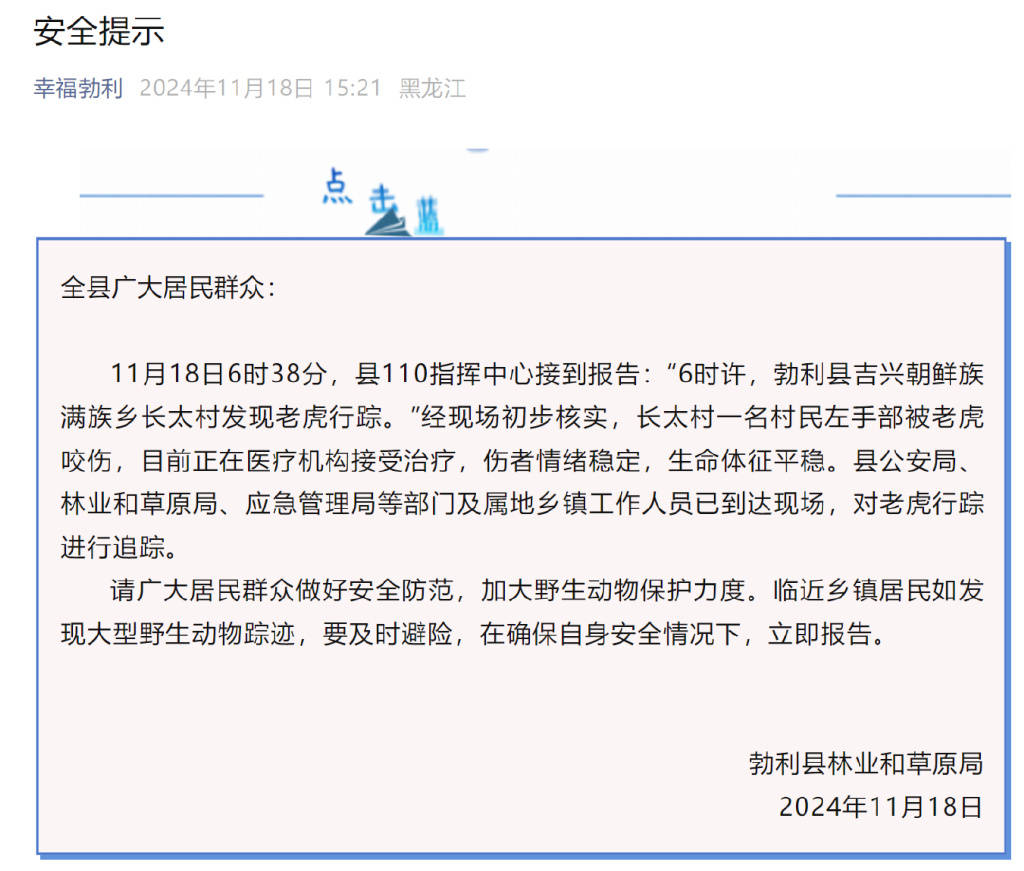 突发<strong></p>
<p>比利币</strong>！老虎进村咬伤村民！家属：有两只！最新消息→