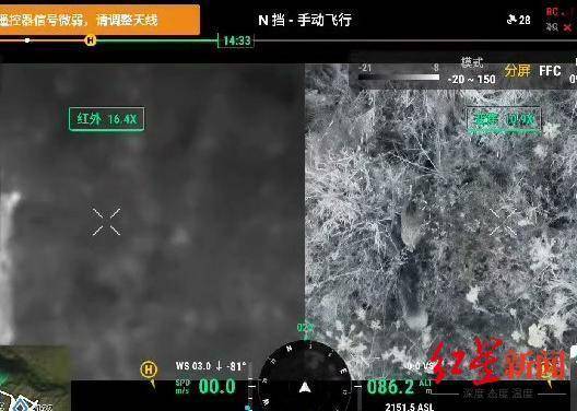 揭秘“野猪猎捕队”丨海拔3000米高山密林<strong></p>
<p>币乎下载</strong>，记者跟队直击猎捕野猪全过程