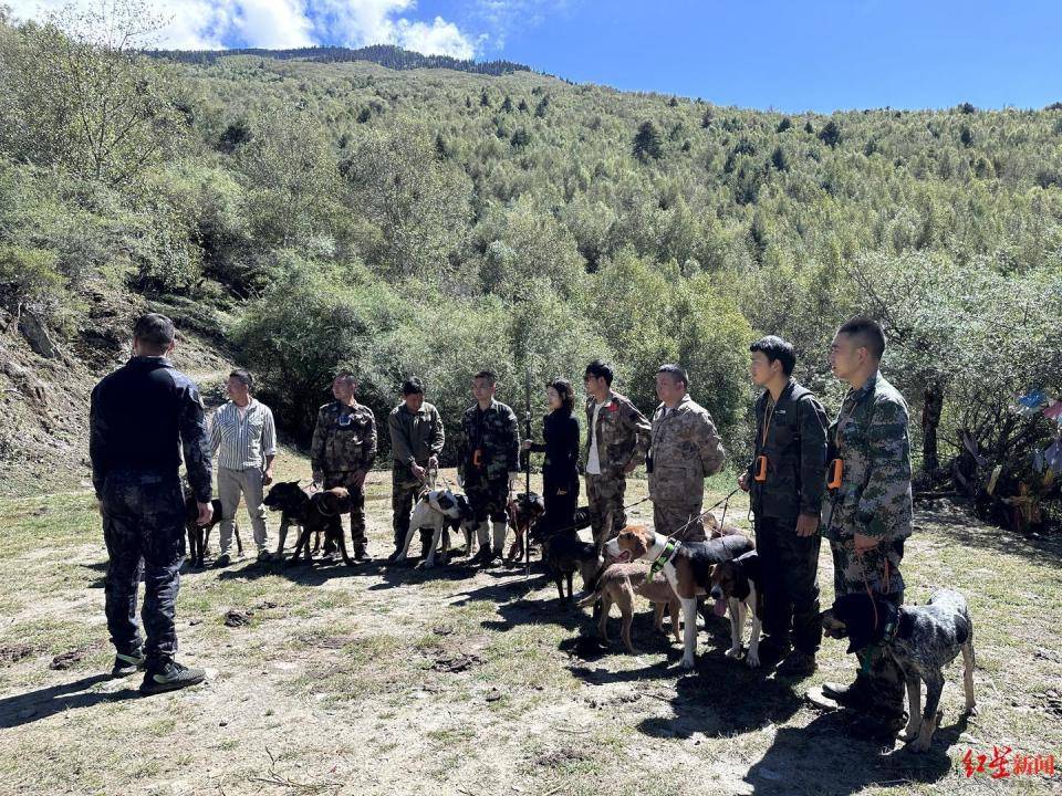 揭秘“野猪猎捕队”丨海拔3000米高山密林<strong></p>
<p>币乎下载</strong>，记者跟队直击猎捕野猪全过程