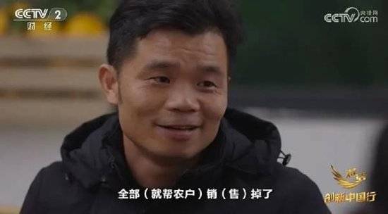 2024年末央视再度专访钟睒睒<strong></p>
<p>币圈分享</strong>，背后有何深意？
