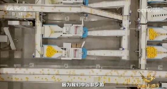 2024年末央视再度专访钟睒睒<strong></p>
<p>币圈分享</strong>，背后有何深意？