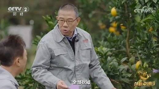 2024年末央视再度专访钟睒睒<strong></p>
<p>币圈分享</strong>，背后有何深意？