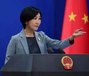 <strong></p>
<p>币圈二宝</strong>我国4名现任外交部发言人简历公布
