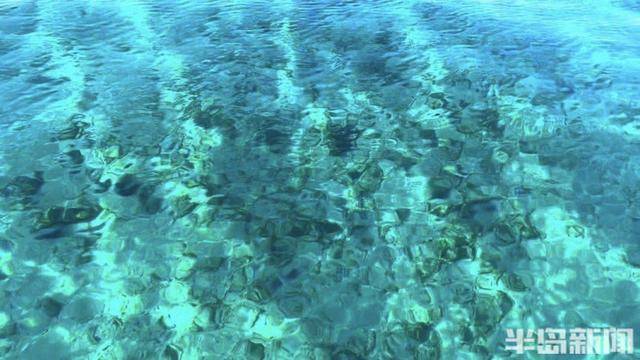 青岛女子买下70万平米小岛后续来了：目前没打算私有<strong></p>
<p>耽币</strong>，七八月份将带员工到岛上团建