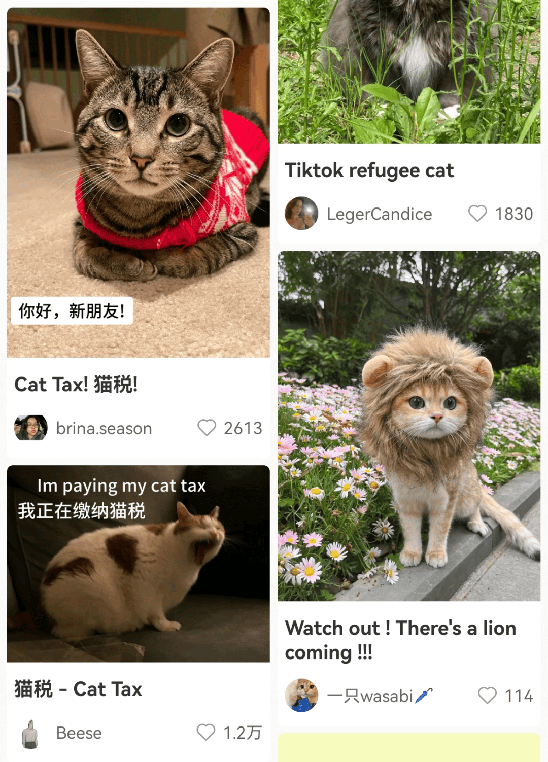 大量外国网友涌入小红书<strong></p>
<p>币听</strong>，网友喊话：别下载拼多多，等我邀请你