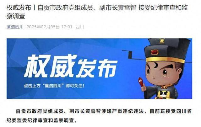 涉嫌严重违纪违法<strong></p>
<p>赢商币</strong>,四川省自贡市政府党组成员、副市长黄雪智接受审查调查