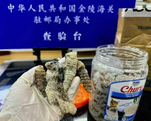 离谱！2.4斤生腌响尾蛇<strong></p>
<p>交易系统网</strong>，被藏在零食罐里……