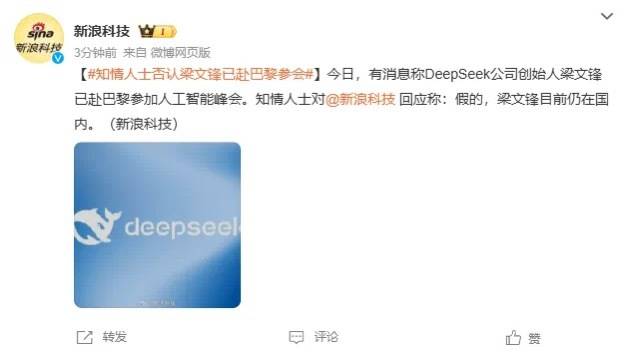 DeepSeek梁文锋用黑科技远程参加巴黎AI峰会？假的<strong></p>
<p>交易系统网</strong>！