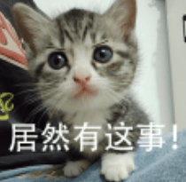 天塌了<strong></p>
<p>币圈行业术语</strong>， 一次性筷子都是用二氧化硫漂白的！？