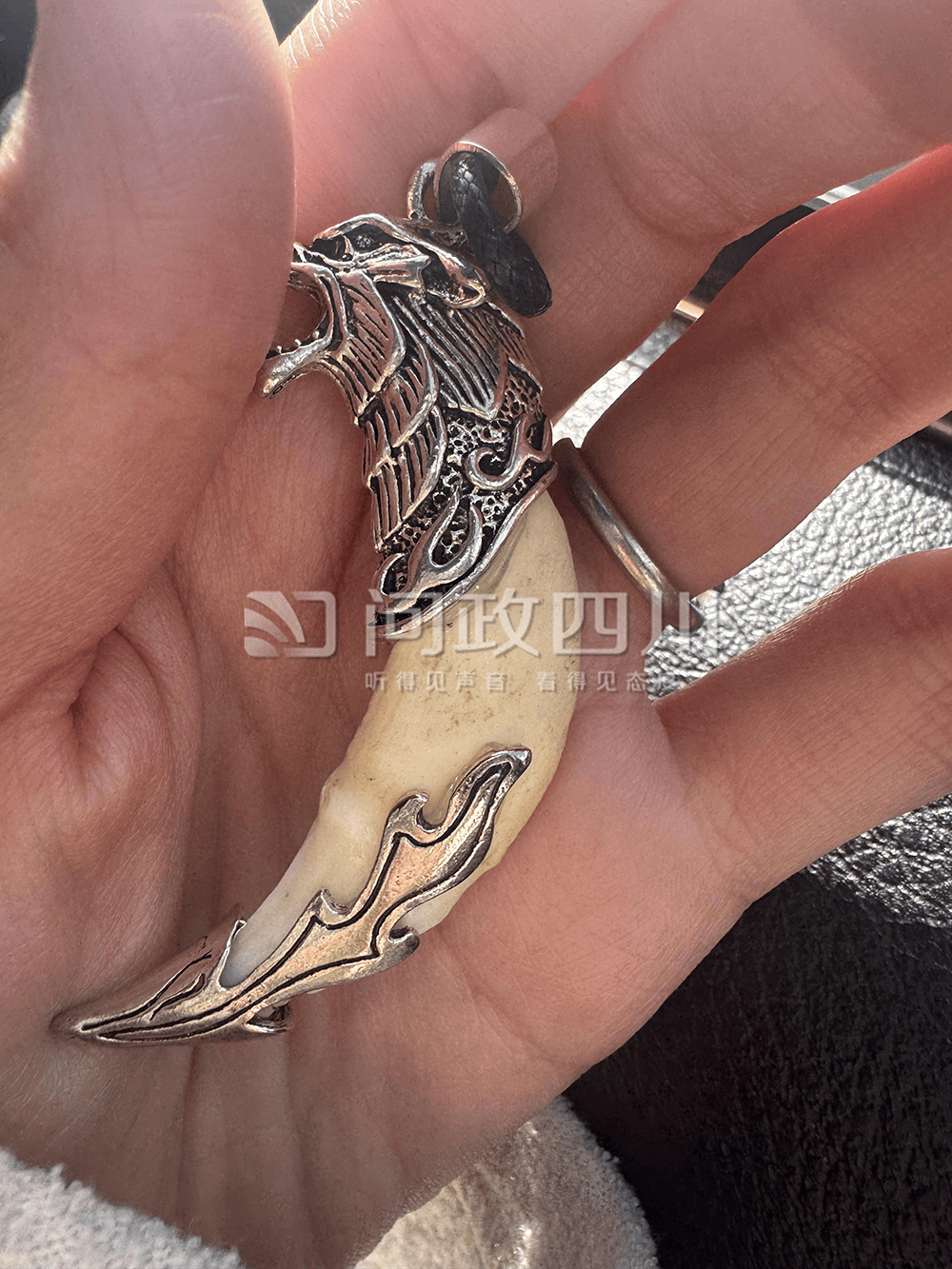 游客称购两颗狼牙实为狗牙<strong></p>
<p>币圈社区介绍</strong>，律师：买卖真狼牙涉违法，卖假狼牙涉欺诈
