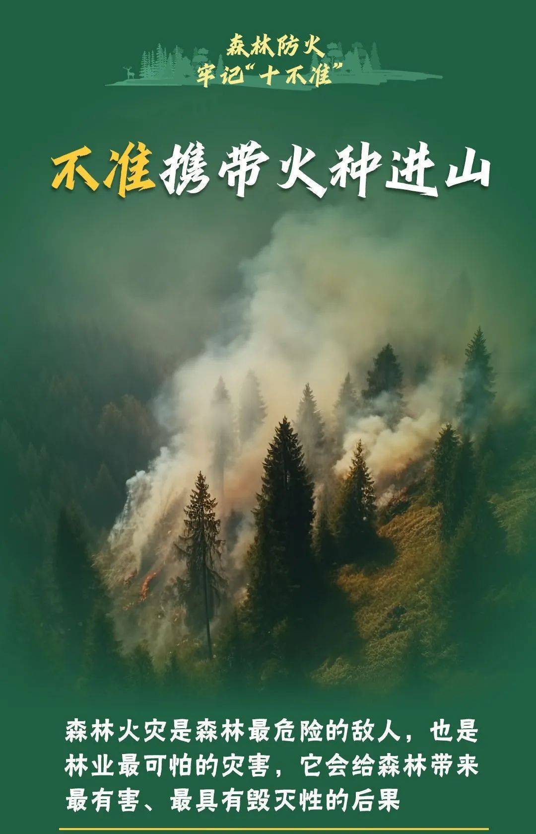 已致4名消防员遇难<strong></p>
<p>韩国人炒币</strong>！多地进入“灾难状态”