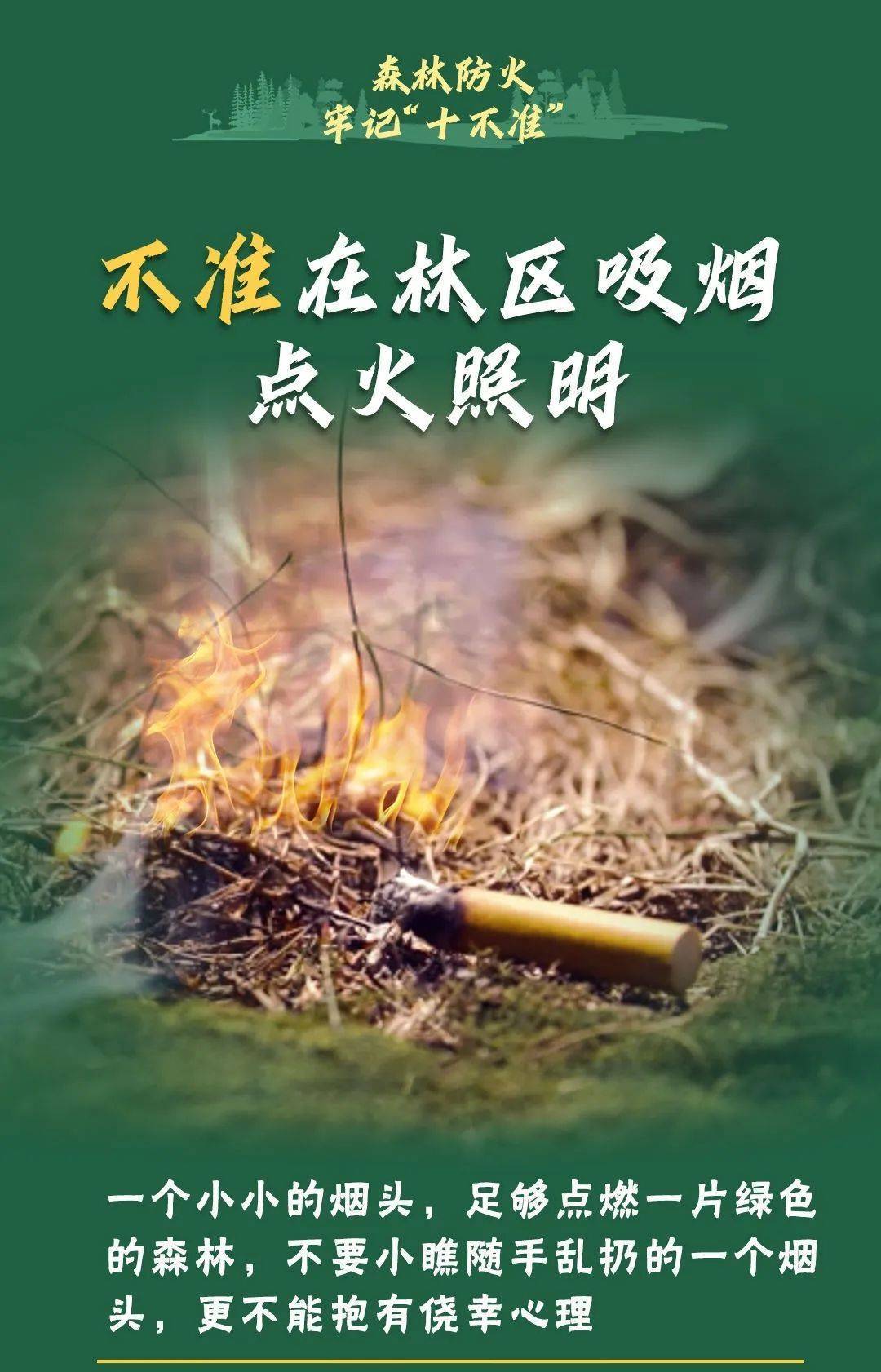 已致4名消防员遇难<strong></p>
<p>韩国人炒币</strong>！多地进入“灾难状态”