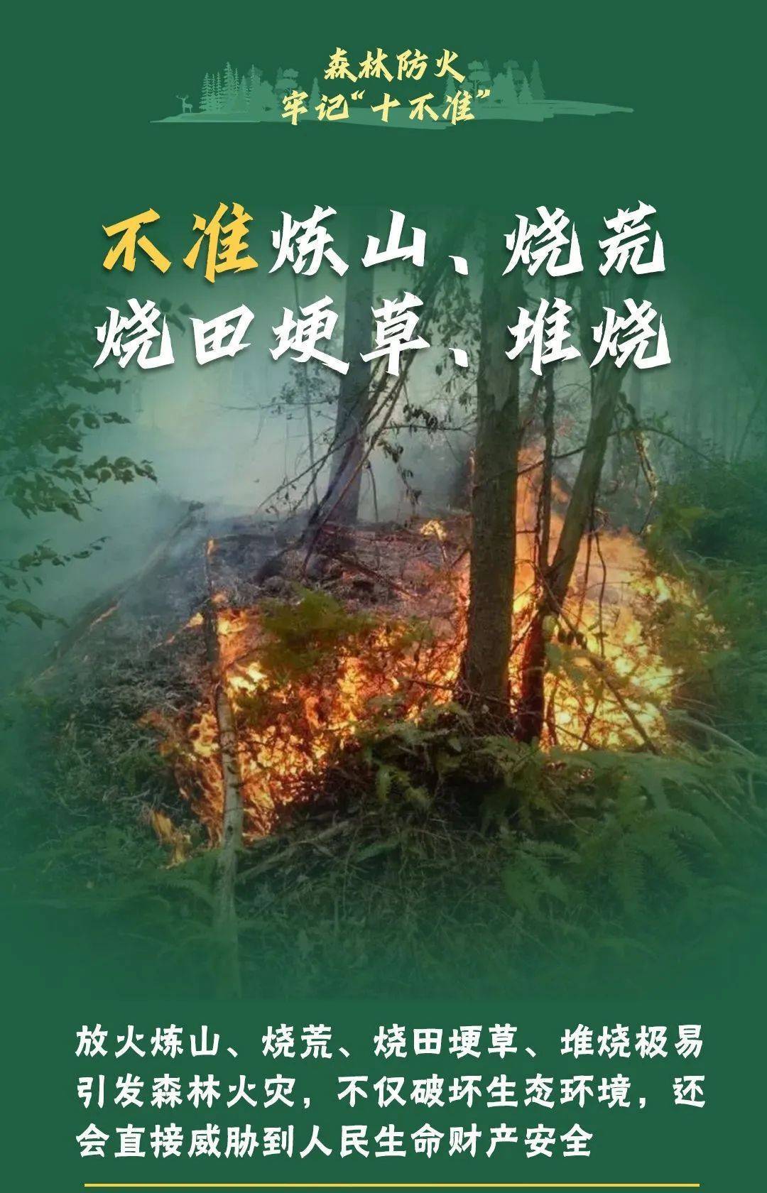 已致4名消防员遇难<strong></p>
<p>韩国人炒币</strong>！多地进入“灾难状态”
