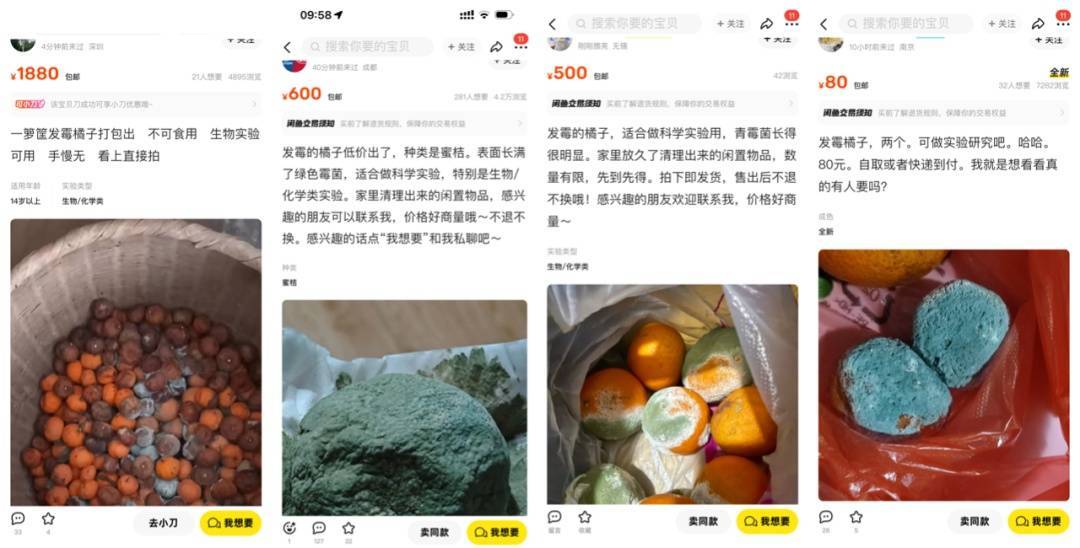 突然火了<strong></p>
<p>奥链币</strong>！有人卖500元一个！网友：后悔扔了……