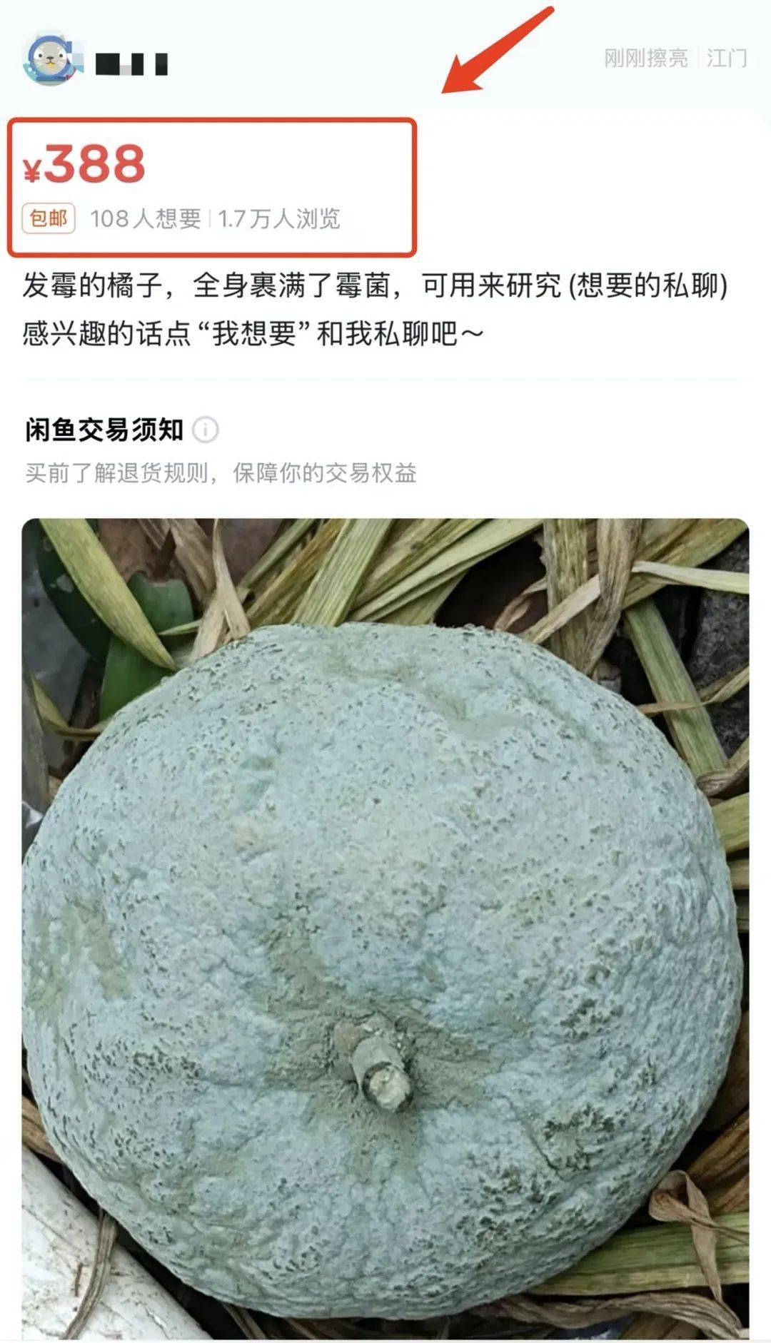 突然火了<strong></p>
<p>奥链币</strong>！有人卖500元一个！网友：后悔扔了……