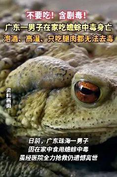 不要吃<strong></p>
<p>奥链币</strong>！含剧毒！无解药！已有人因此身亡…