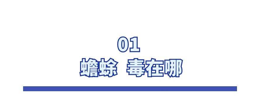 不要吃<strong></p>
<p>奥链币</strong>！含剧毒！无解药！已有人因此身亡…