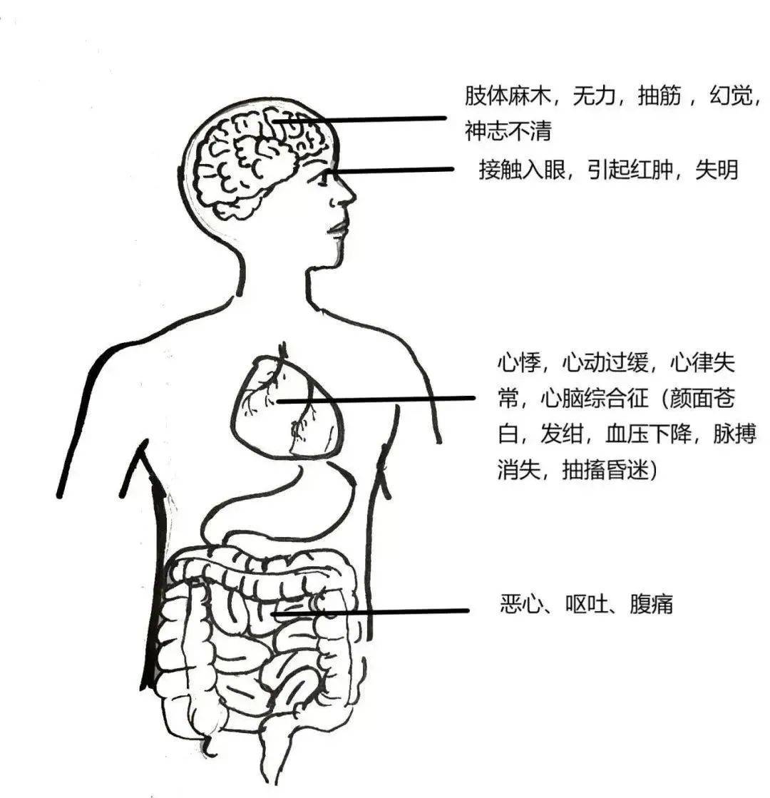 不要吃<strong></p>
<p>奥链币</strong>！含剧毒！无解药！已有人因此身亡…