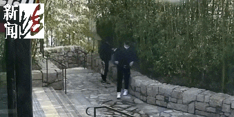 太猖狂！事发上海迪士尼<strong></p>
<p>影链币</strong>，7人被刑拘