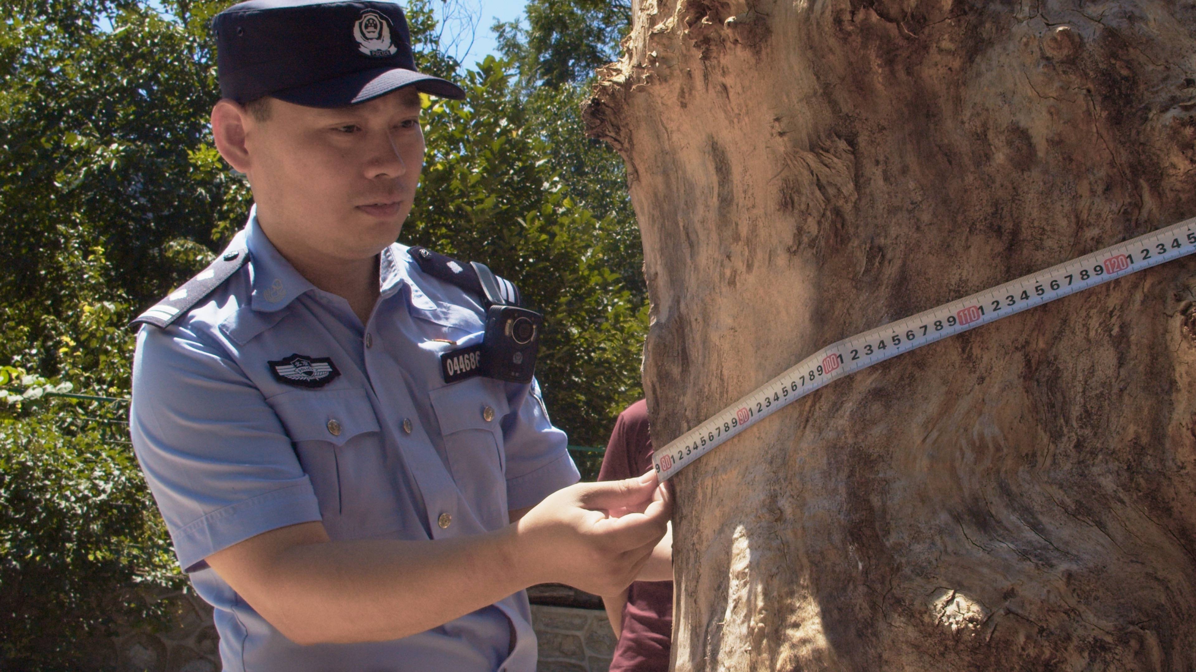 森林警察韩孟祺：乔装成驴友潜伏密林中<strong></p>
<p>北海币兑换</strong>，抓获“粘鸟”嫌疑人