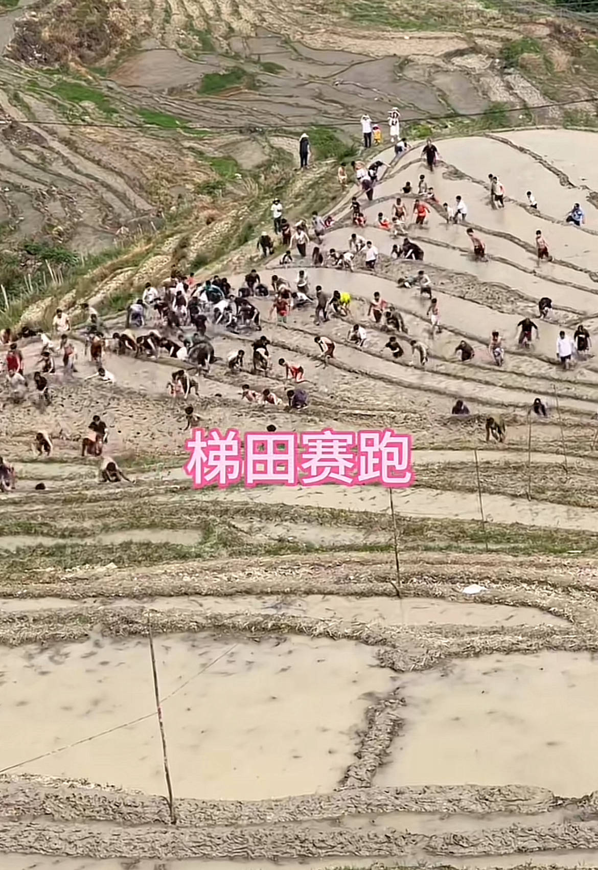 桂林一景区回应爬梯田比赛前两名半坡起跑作弊：游客赛前试爬后躺半坡<strong></p>
<p>币圈abt</strong>，工作人员没发现