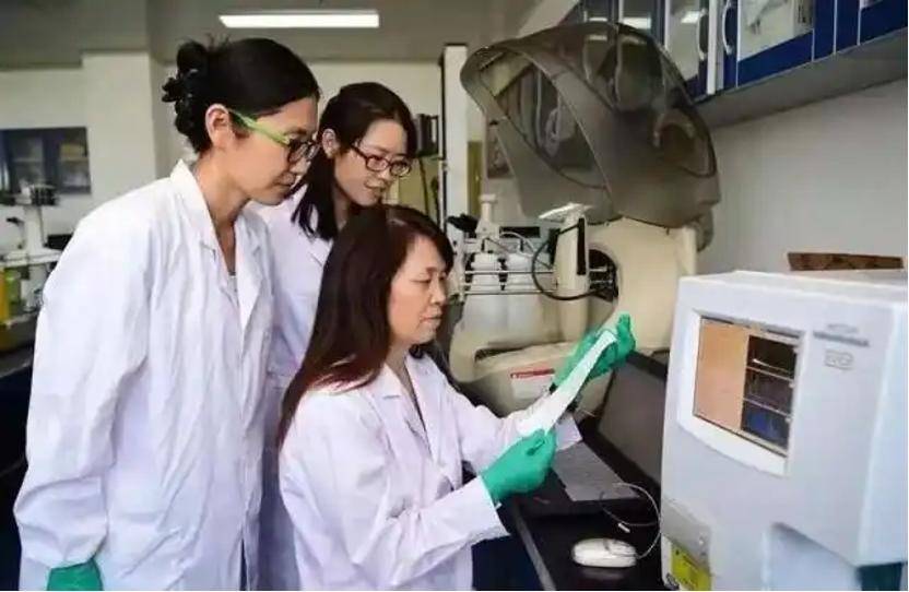 深挖 | “西北大学副校长范代娣成陕西首富”系乌龙<strong></p>
<p>跟单</strong>，但她的人生如同开挂
