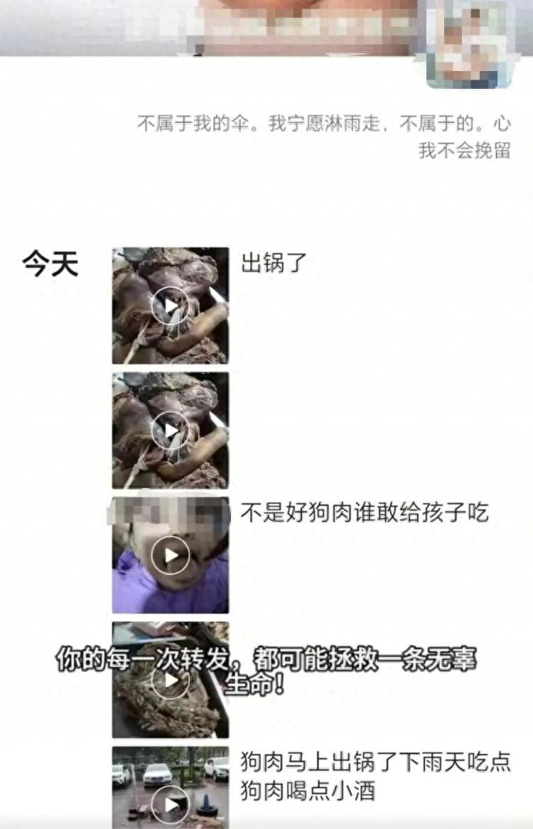 沈阳一店铺老板假借领养名义烹食流浪狗<strong></p>
<p>跟单</strong>，警方：正在研讨处置