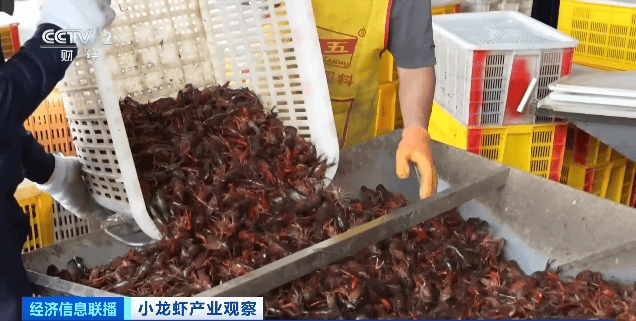价格暴跌近50%<strong></p>
<p>菜单</strong>！“接下来还会降”！青岛正大量上市……