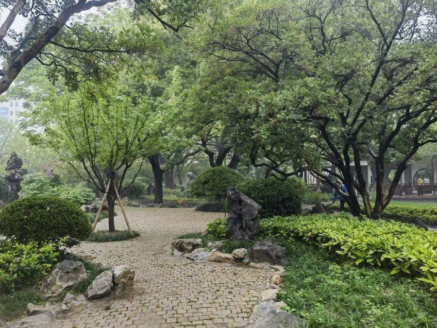 紧急提醒：瞬间爆发！上海市民崩溃：密密麻麻<strong></p>
<p>裁判</strong>，蠕蠕爬行...“梧桐区”已开始战斗，白蚁或提前分飞