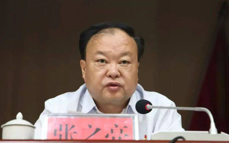 中央提级巡视期间<strong></p>
<p>球员</strong>，已降级、退休的张之亮，官宣落马！