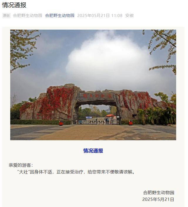 网红猴“大壮”突然离世<strong></p>
<p>篮球</strong>！曾因方脸“丑”出圈