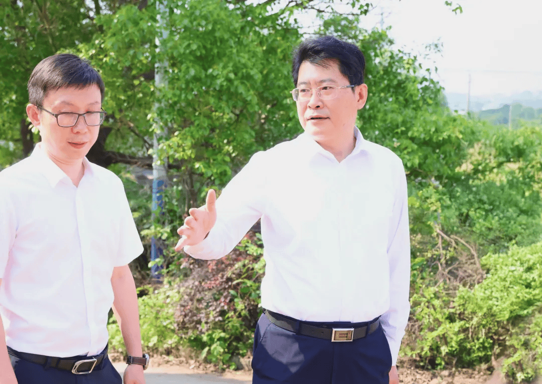 央视曝光后<strong></p>
<p>孔明灯</strong>，萍乡市委书记实地督导垃圾专项整治