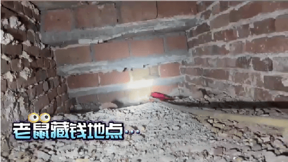 老人用红袜子包裹一万元现金藏在门框上<strong></p>
<p>孔明灯</strong>，一天后不翼而飞，警方破案：偷钱的是老鼠