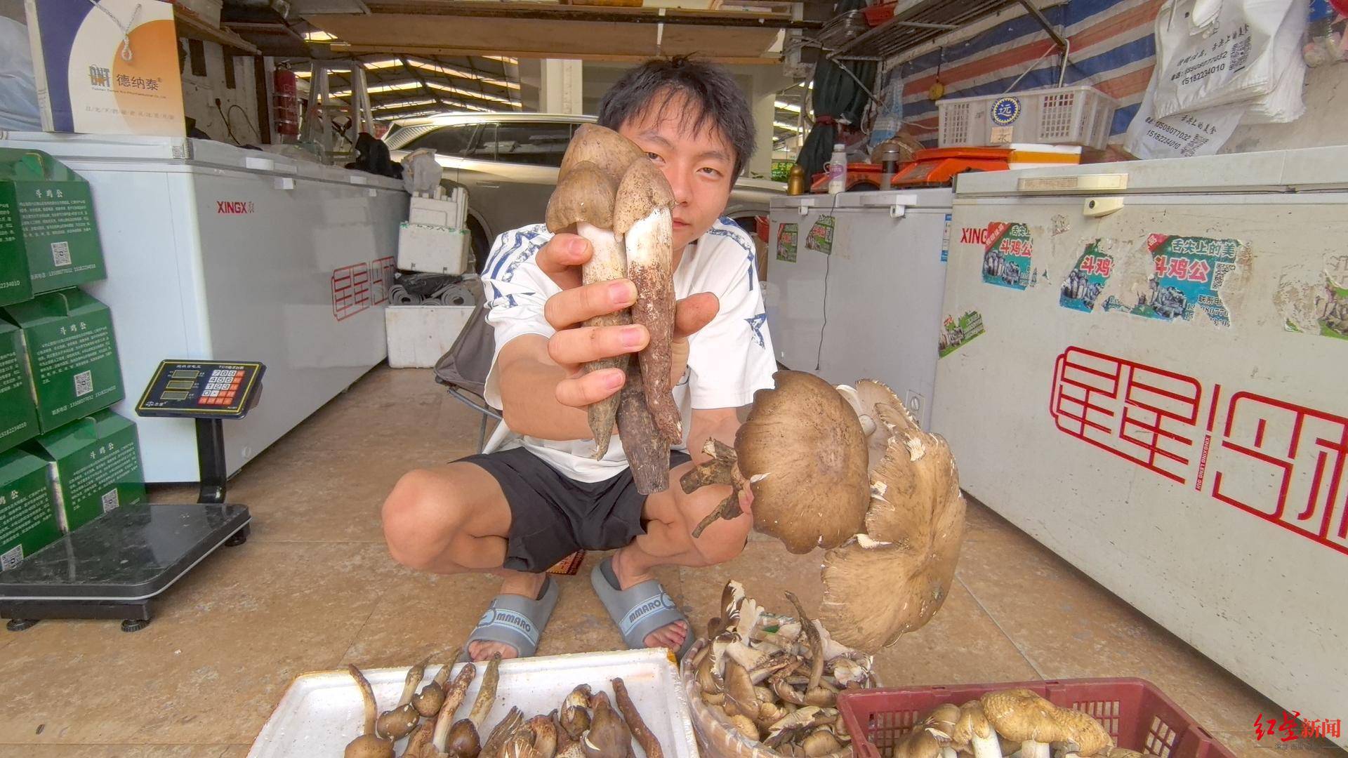 “天价”鸡枞调查：最贵卖到1800元/公斤！雨水少致产量低<strong></p>
<p>汽水</strong>，多地价高客少