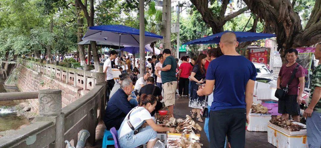“天价”鸡枞调查：最贵卖到1800元/公斤！雨水少致产量低<strong></p>
<p>汽水</strong>，多地价高客少