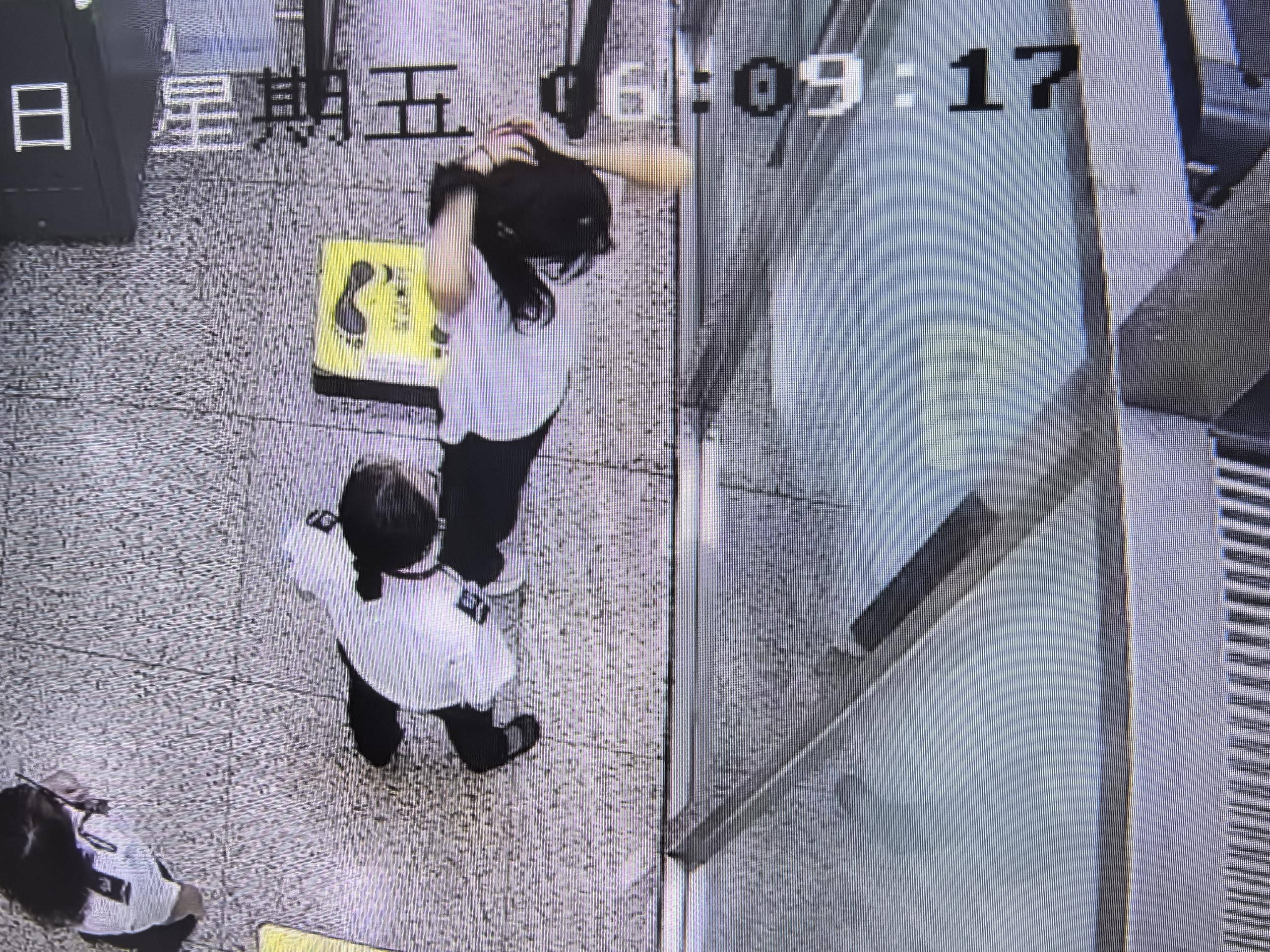 女子将宠物乌龟藏在蝴蝶结盘发内<strong></p>
<p>电动车</strong>，过安检乘飞机时被查 警方：批评教育