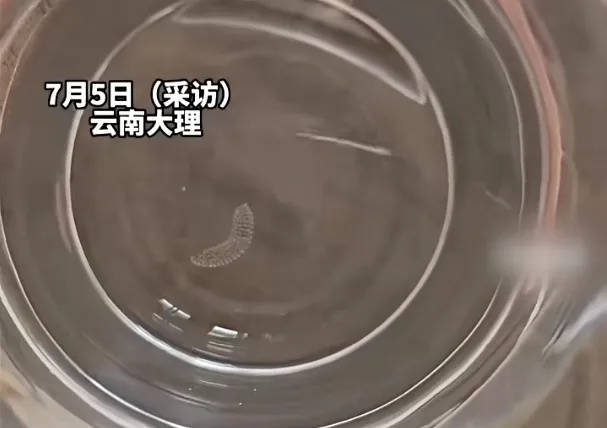 女子喝了隔夜水里的蚊子卵<strong></p>
<p>比特币期货</strong>！专家：没事