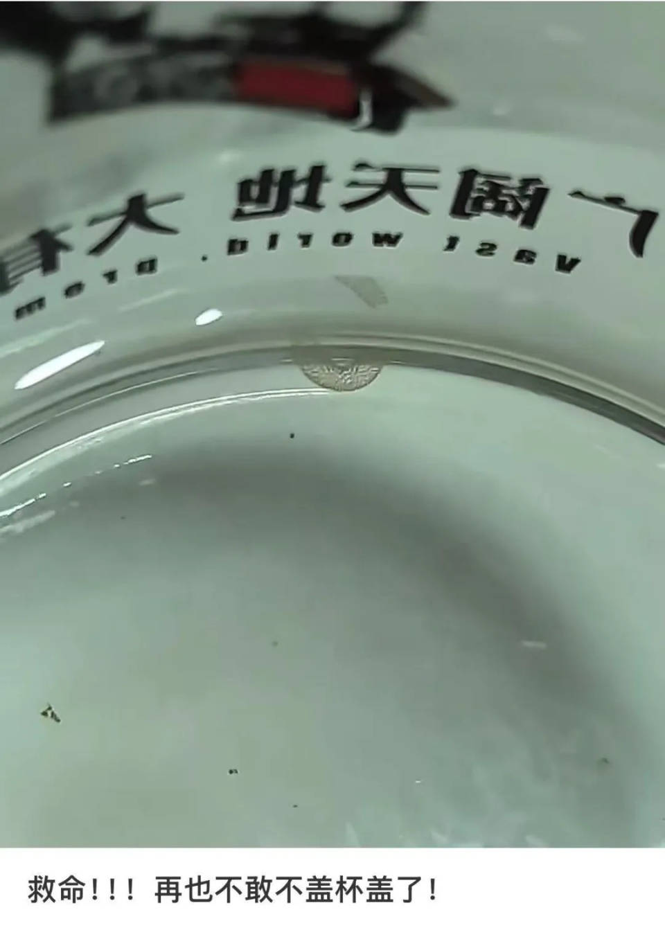 女子喝了隔夜水里的蚊子卵<strong></p>
<p>比特币期货</strong>！专家：没事